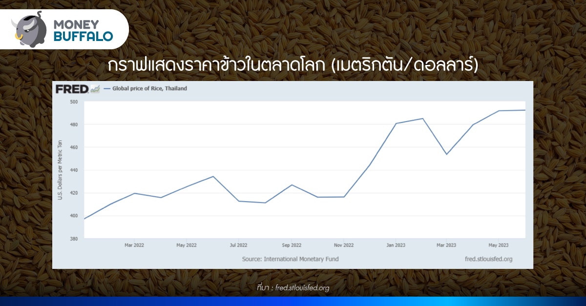 อินเดียไม่ส่งออกข้าว ทั่วโลกเตรียมเจออาหารแพง !