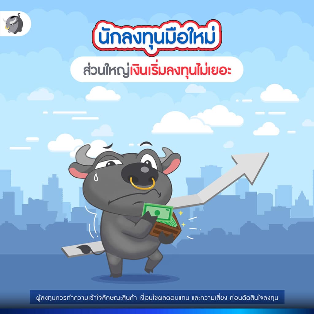 ปัญหาที่ 1: เงินเริ่มต้นลงทุนไม่เยอะ