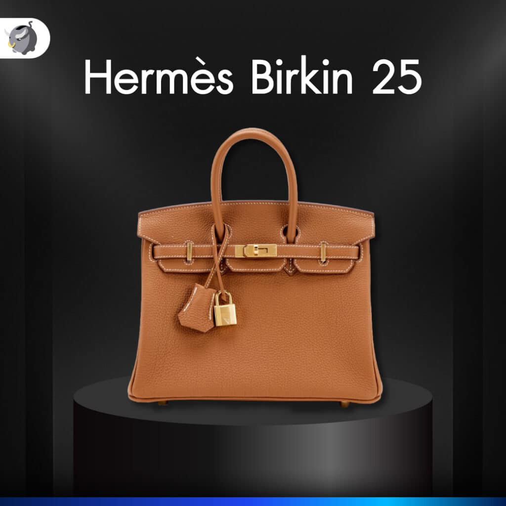 Hermès Birkin 25