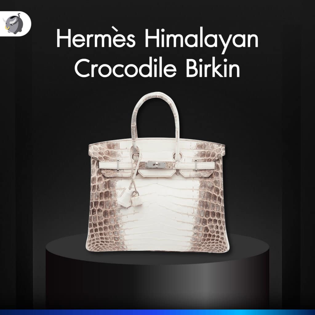 Hermès Himalayan Crocodile Birkin