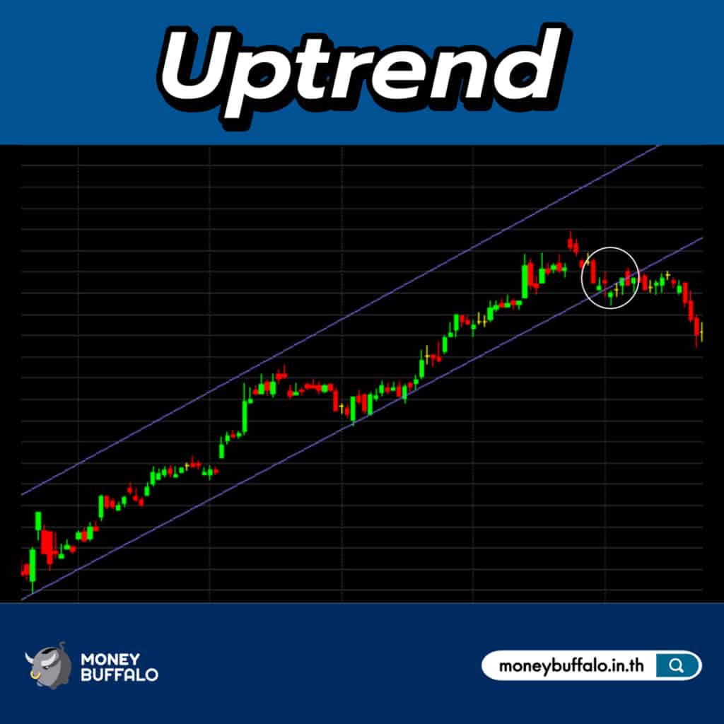 3. Cut Loss โดยการใช้กรอบ Uptrend