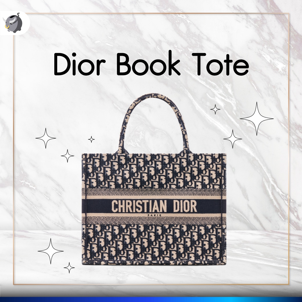 Dior Book Tote