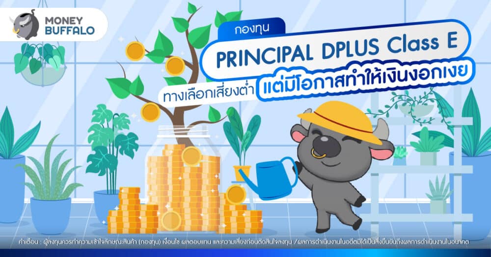 กองทุน PRINCIPAL DPLUS Class E ทางเลือกเสี่ยงต่ำ แต่มีโอกาสทำให้เงินงอกเงย