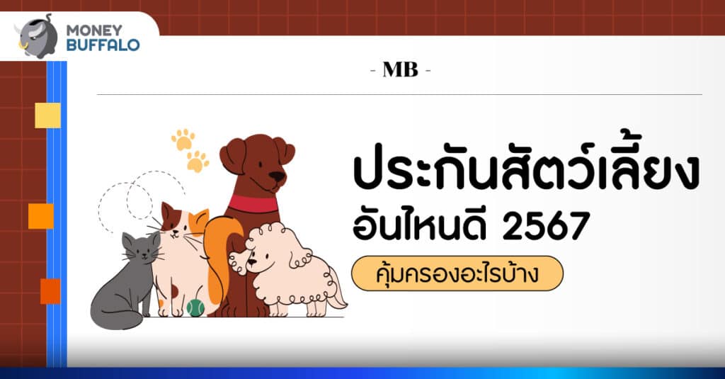 ประกันสัตว์เลี้ยง อันไหนดี 2567 คุ้มครองอะไรบ้าง