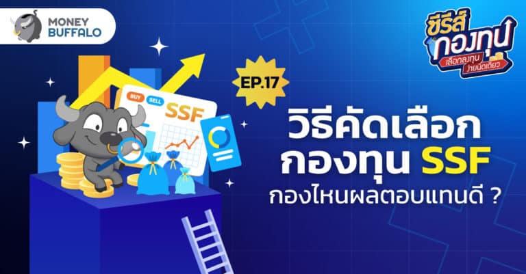 วิธีคัดเลือกกองทุน SSF กองไหนผลตอบแทนดี? | ซีรีส์กองทุน EP17