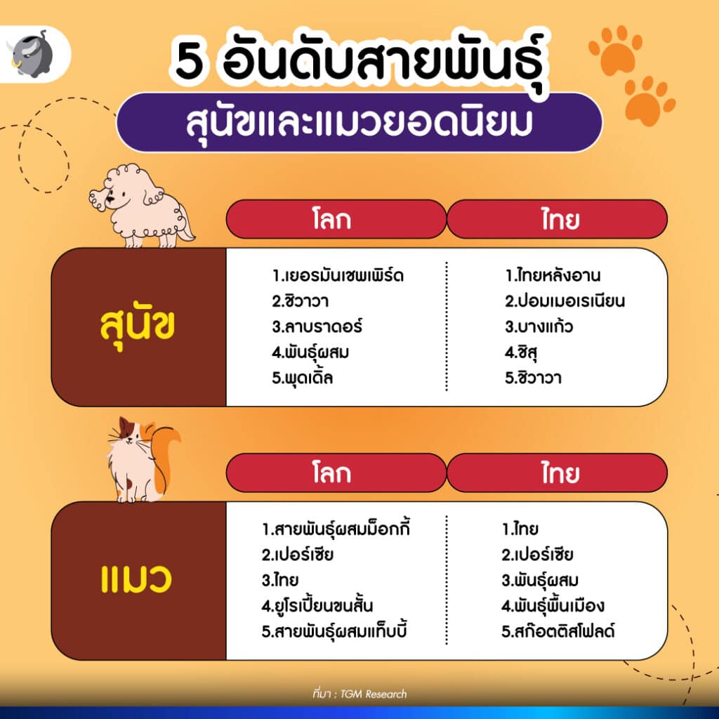 5 อันดับสายพันธุ์สุนัข และแมว ยอดนิยมของเจ้าของสัตว์เลี้ยงในโลกและไทย