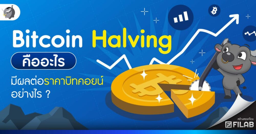 รู้จัก SimpleInvest ตัวช่วยแก้ปัญหาของนักลงทุนมือใหม่! 