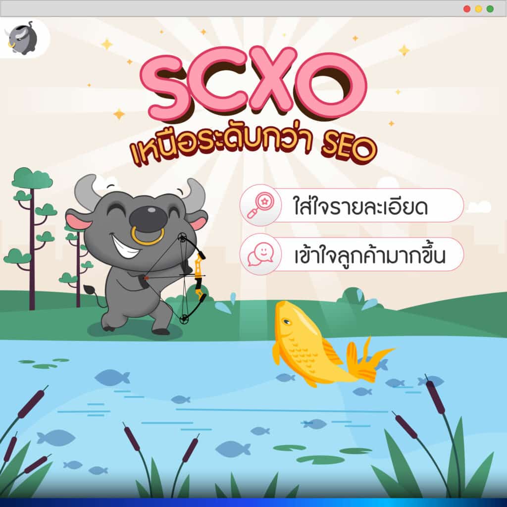 SCXO ขั้นกว่าของ SEO