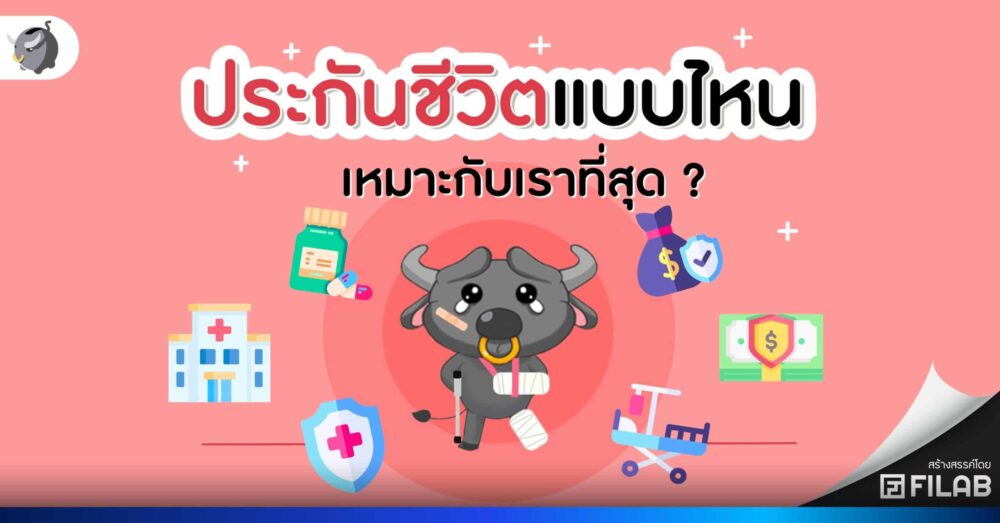 ประกันชีวิตแบบไหนดี ประกันตลอดชีพ vs ประกันแบบสะสมทรัพย์