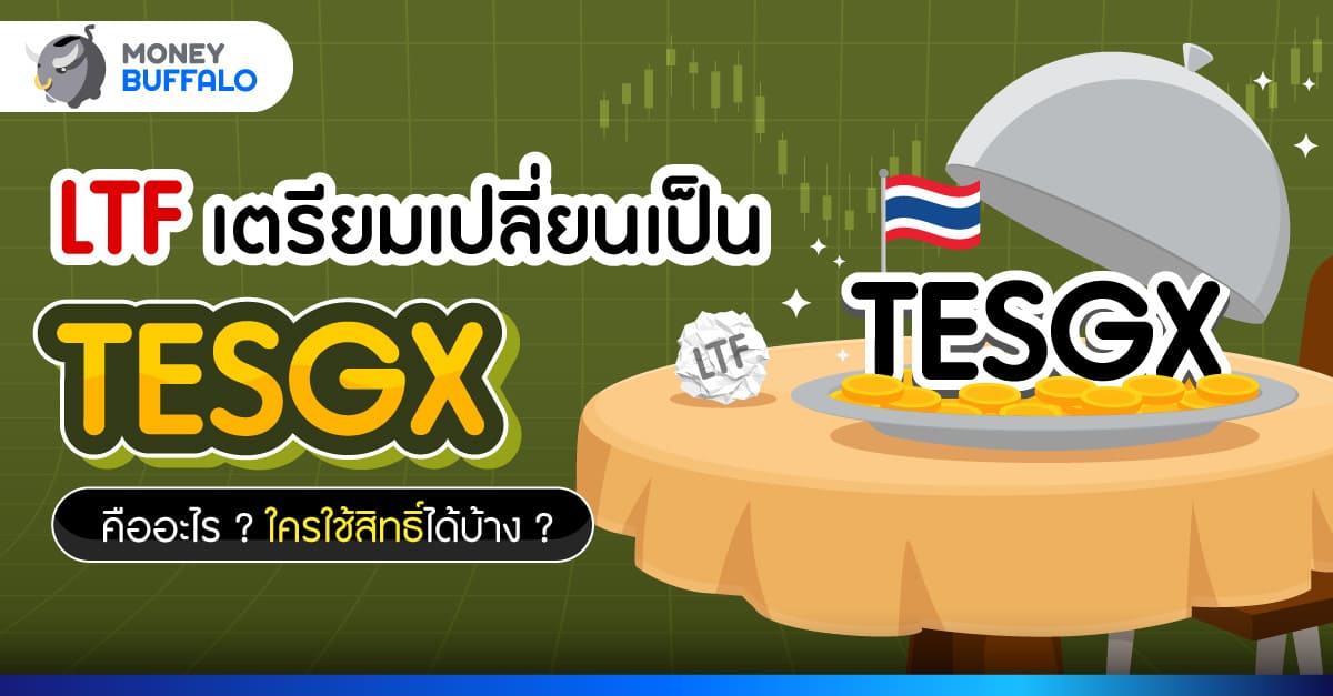 คลังแปลง LTF เป็น Thai ESG X หรือ TESGX