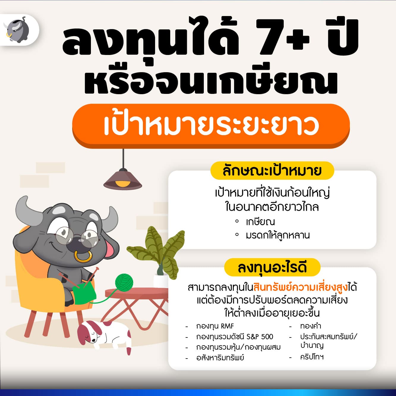 เป้าหมายการลงทุน