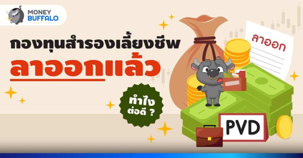 กองทุนสำรองเลี้ยงชีพ