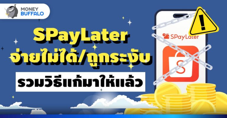 spaylater