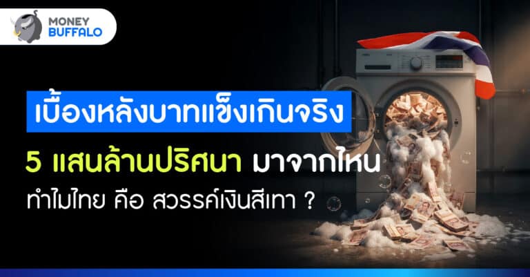 เงินสีเทาทะลัก 5 แสนล้าน เฉลยปริศนา เงินบาทแข็ง