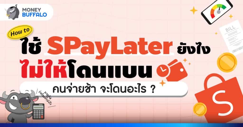spaylater