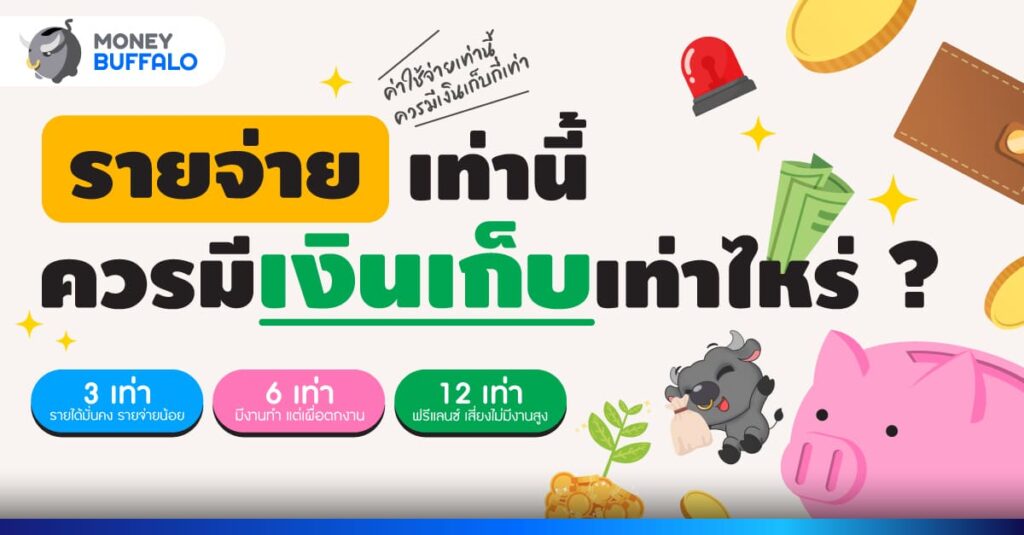 เงินเก็บ